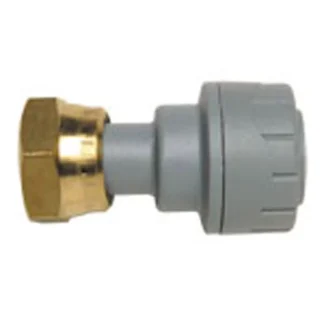 Polyplumb Tap Connector (Brass Connecting Nut) – Straight