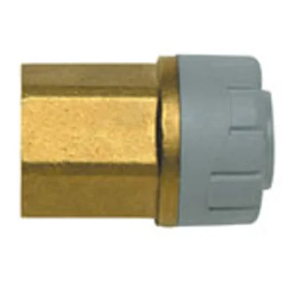 Polyplumb Female BSP Adaptor (DZR Brass Body)