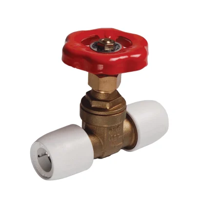 Hep2O Gate Valve (Brass)