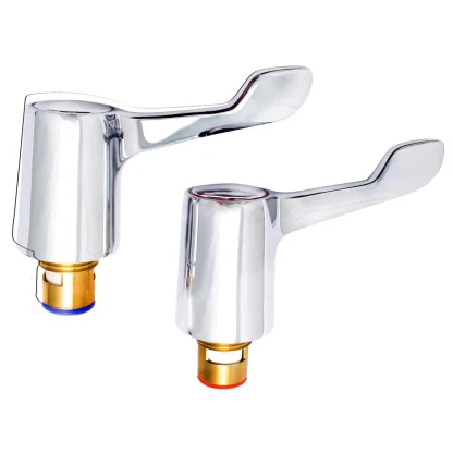 Embrass Peerless Tap Reviver Kit Lever CP