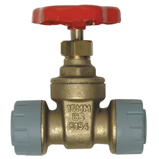 Polyplumb Gate Valve (Brass)