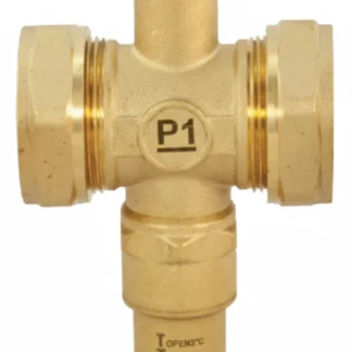 381995 EP Anti Freeze Valve